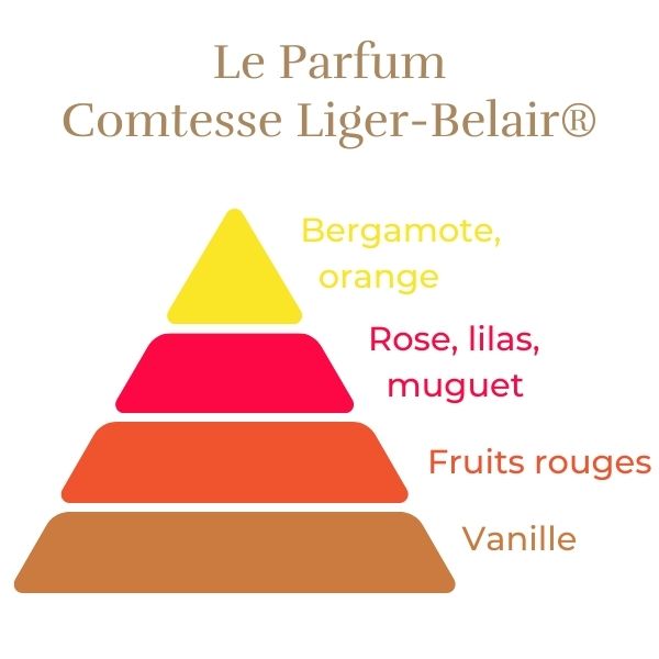 Rosier Comtesse Liger-Belair®