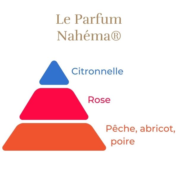 Rosier Grimpant Nahéma®