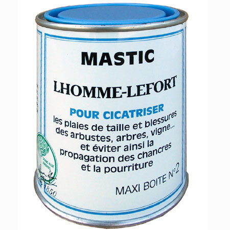 Mastic Cicatrisant Arbre Fruitier, 100G Baume Cicatrisant Bonsai